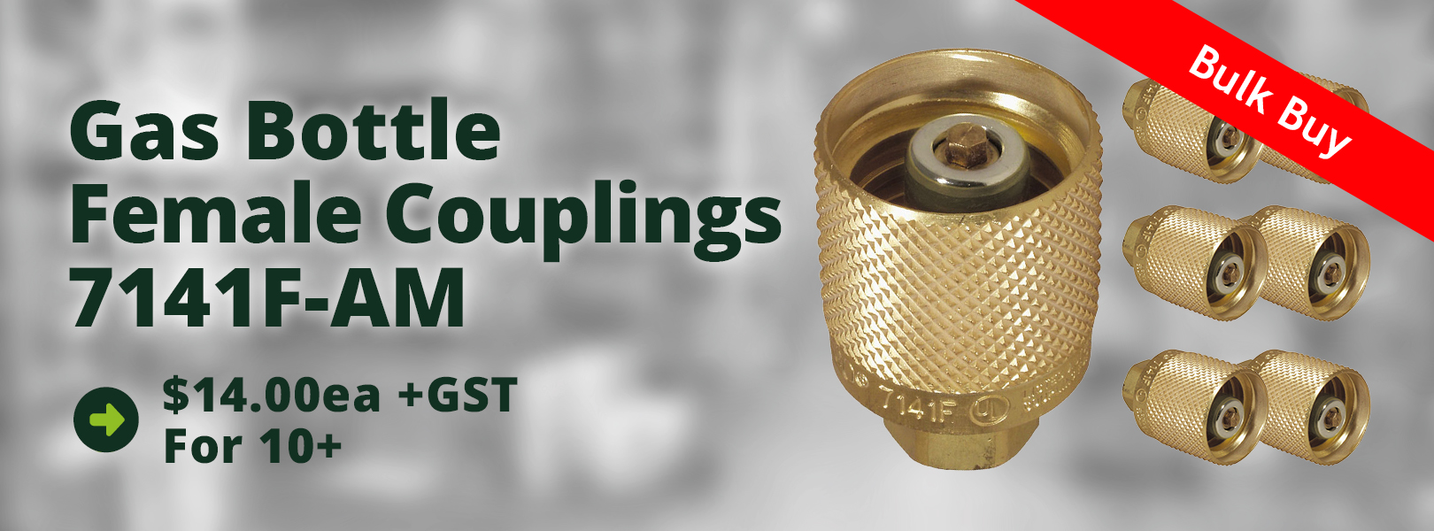 Female Gas Coupling